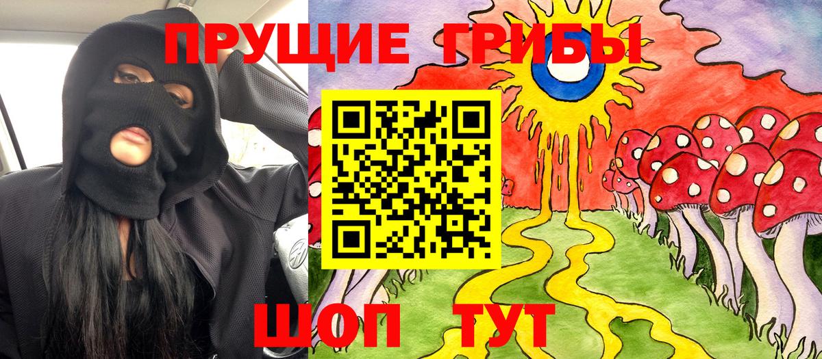 Галлюциногенные грибы прущие грибы  Вход с VPN  Альметьевск 