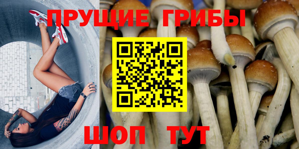 Галлюциногенные грибы Cubensis Альметьевск